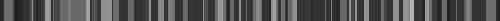 Untitled-1-1.gif