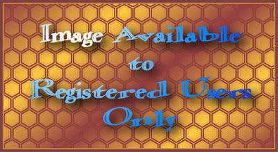 Click to register